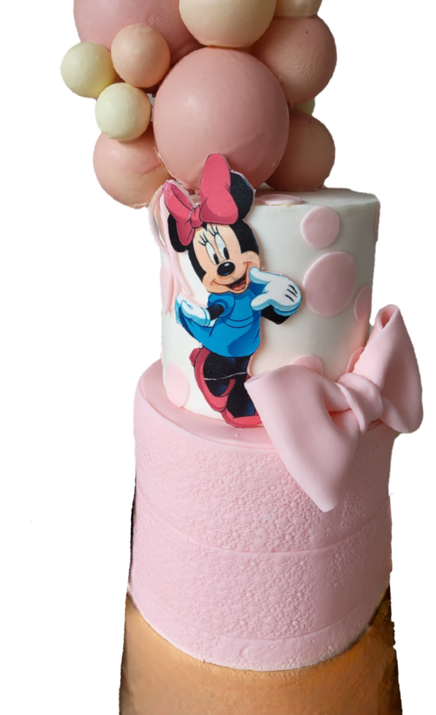 patisserie taart bestellen mouse bruiloft taart verjaardag gebak macarons macaroons mickey mouse